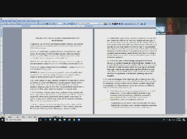 Thumbnail image for Town Council Special Meeting March 25, 2020